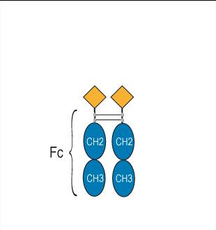 Experimental Validation Results for Efsubaglutide alfa